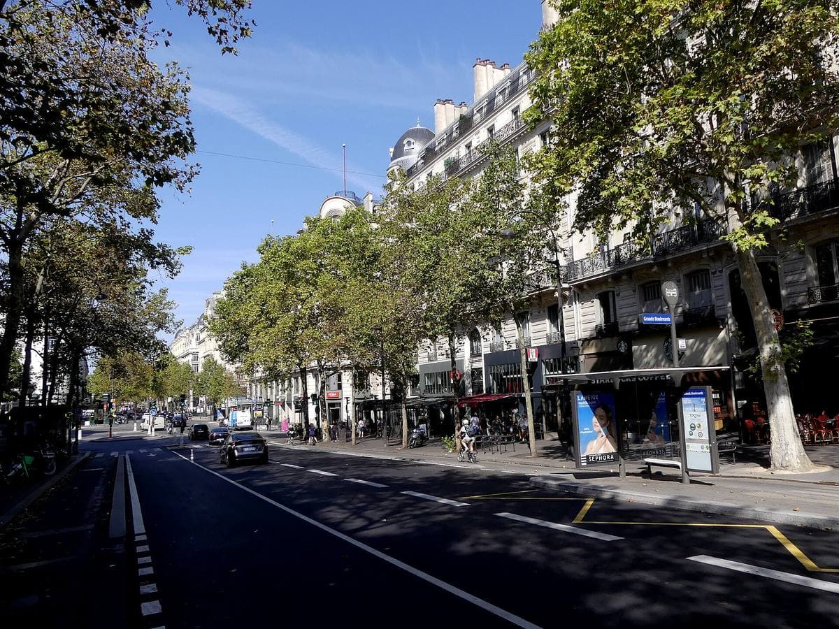 A wide tree-lined Paris boulevard with shops and traffic