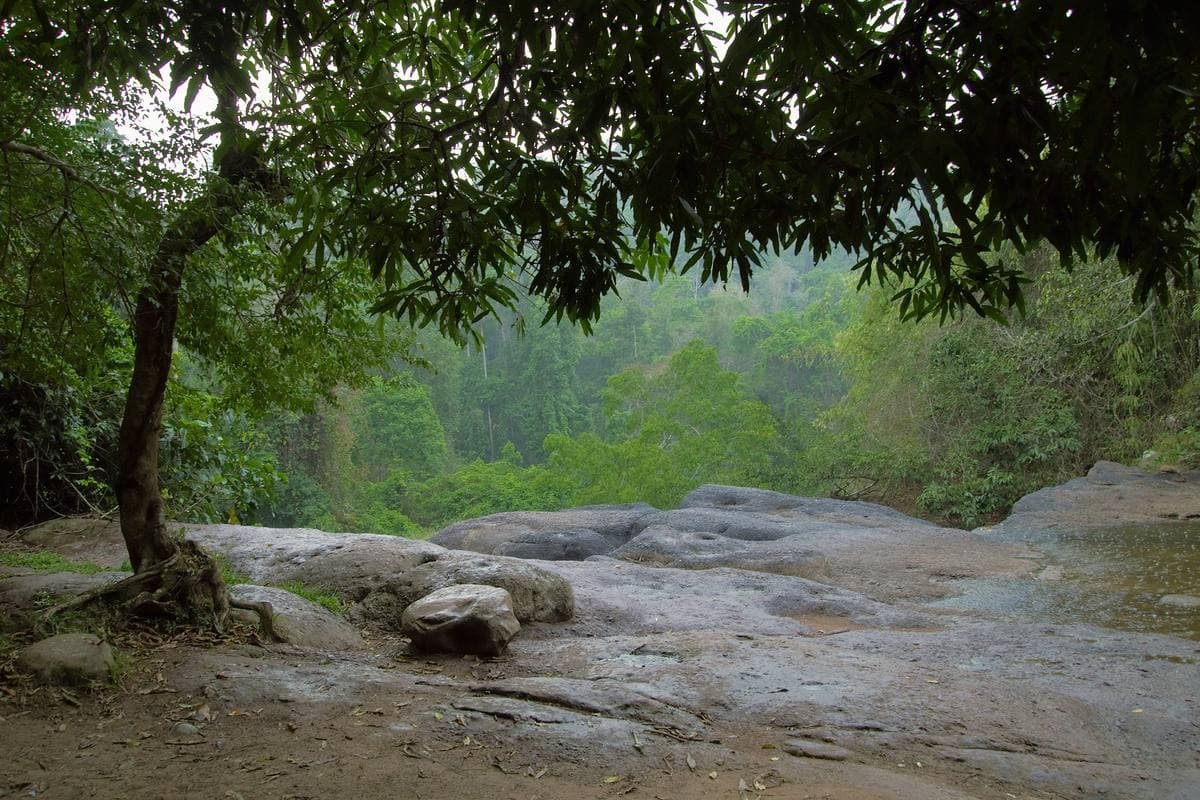 Water sliding over a rock edge into a drop, trees beyond