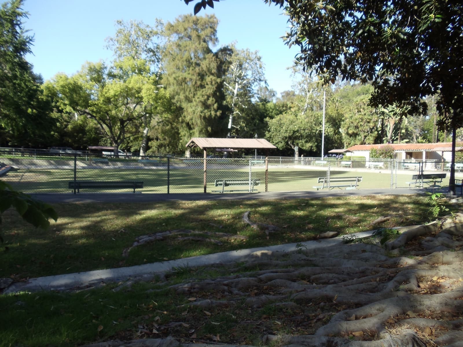 A lawn bowling green under trees in Holmby Park