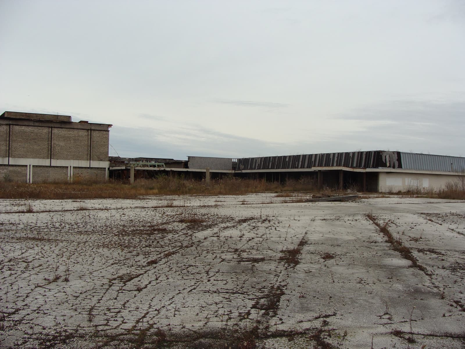 An empty, cracked car park in front of a derelict low mall building