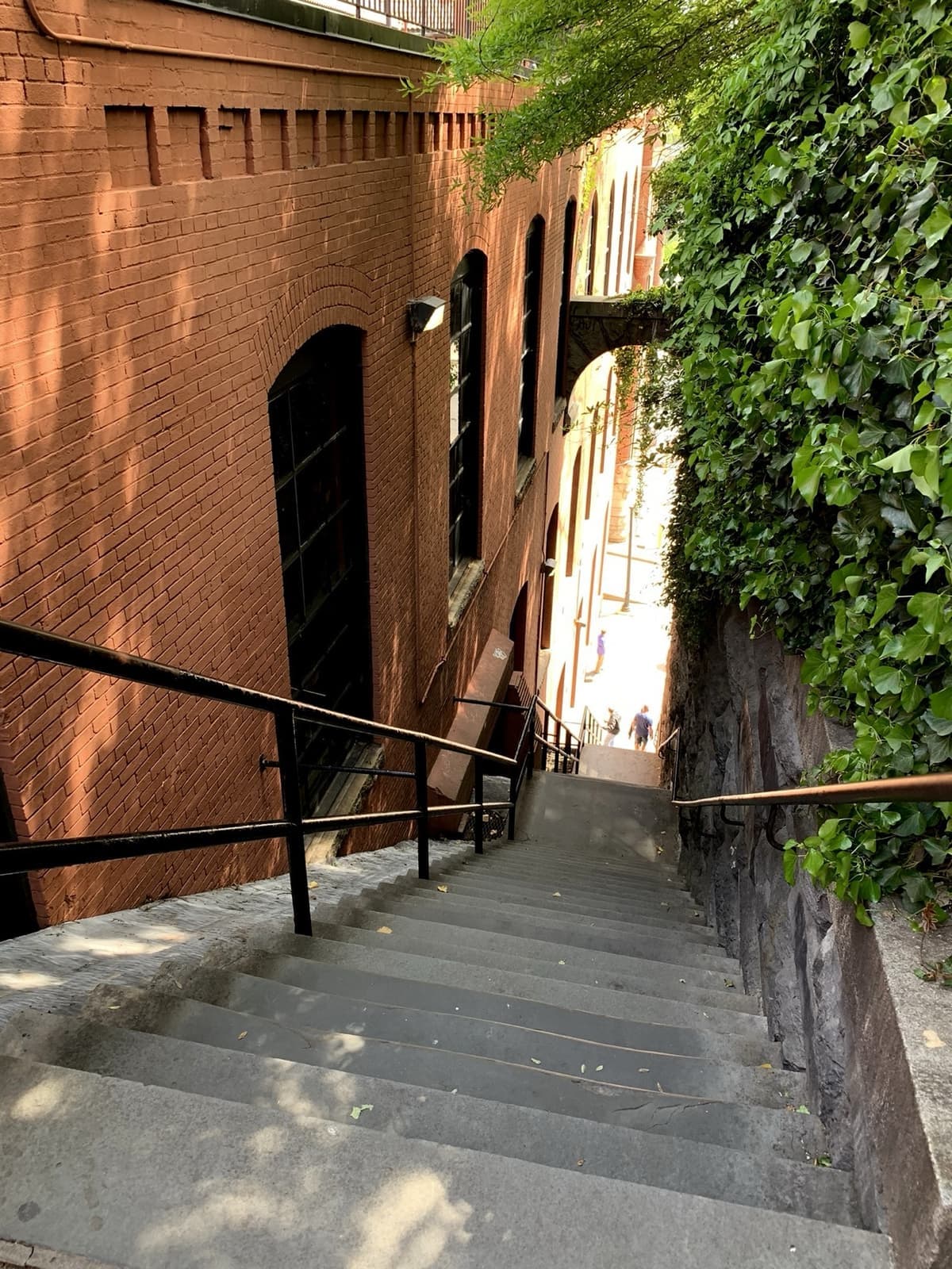 Stone steps falling away steeply between brick and ivy, with railings down the middle
