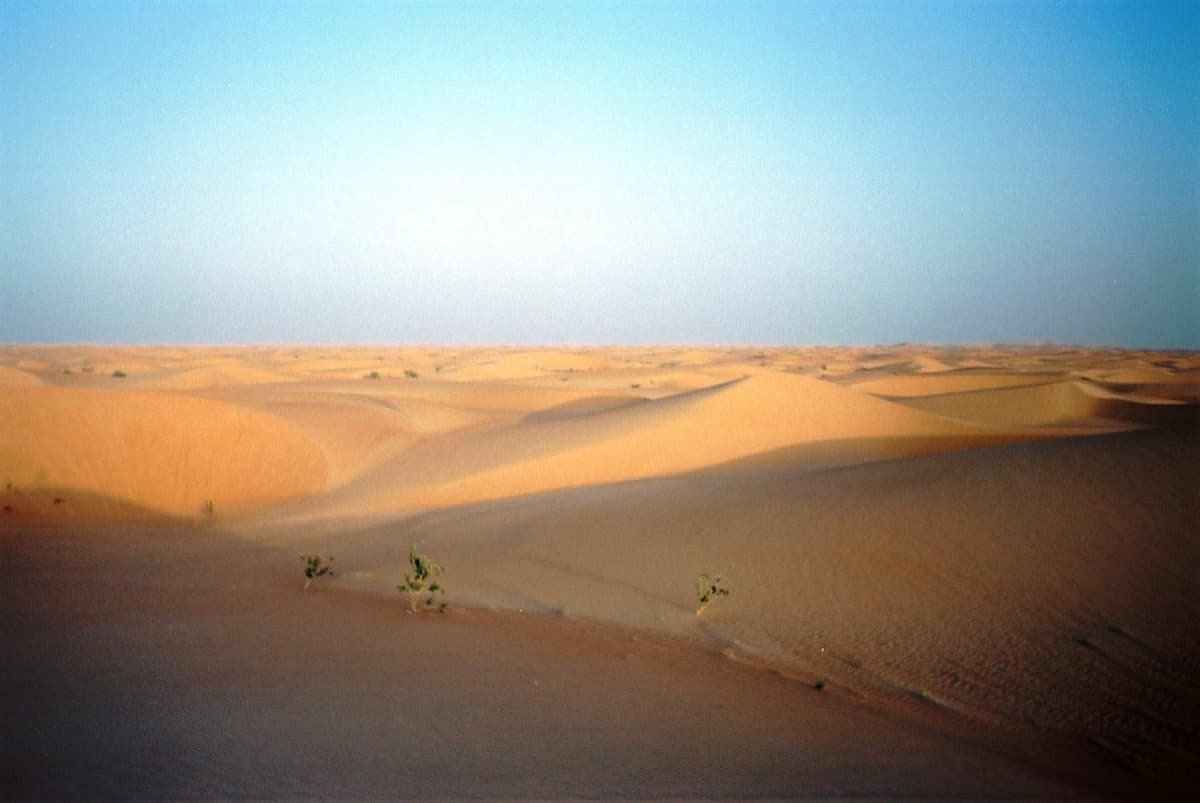 Pale sand dunes under a clear sky near a desert town