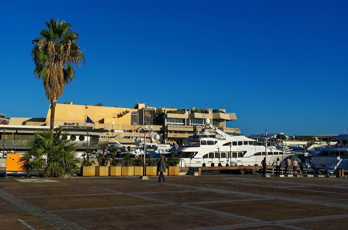 A broad modern concert-and-congress hall seen across a promenade with palm trees