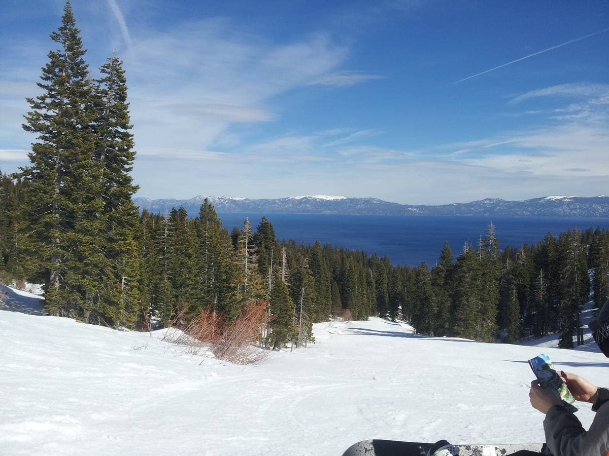 Snow on the shore and pine trees beside the blue water of Lake Tahoe