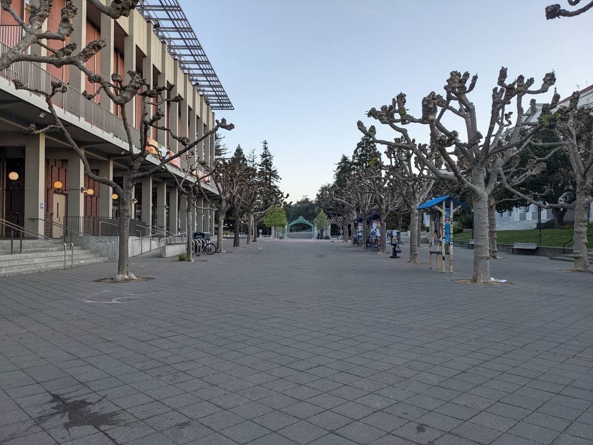 An empty paved campus plaza with Sproul Hall's columns and trees