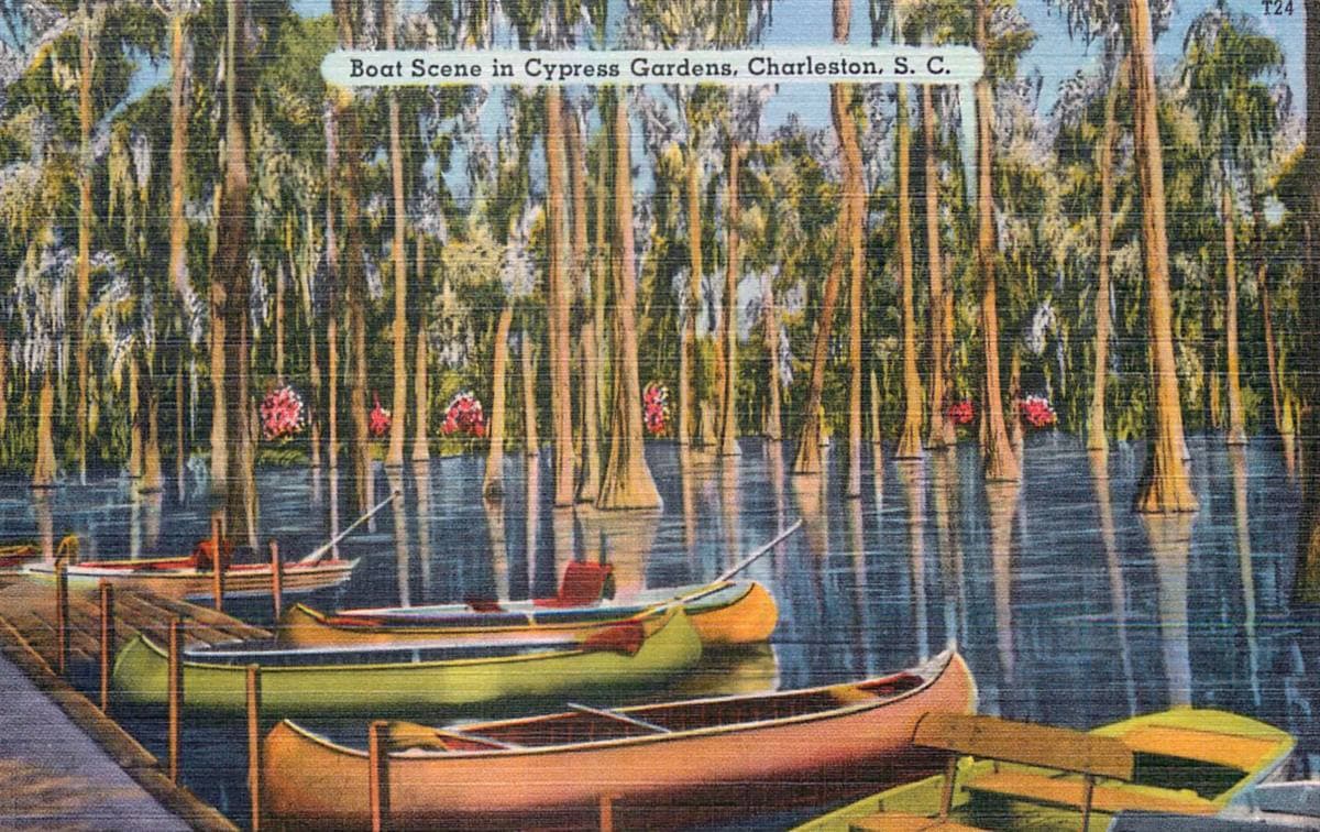 A coloured postcard of a flat-bottomed boat among cypress trees and azaleas, 1937