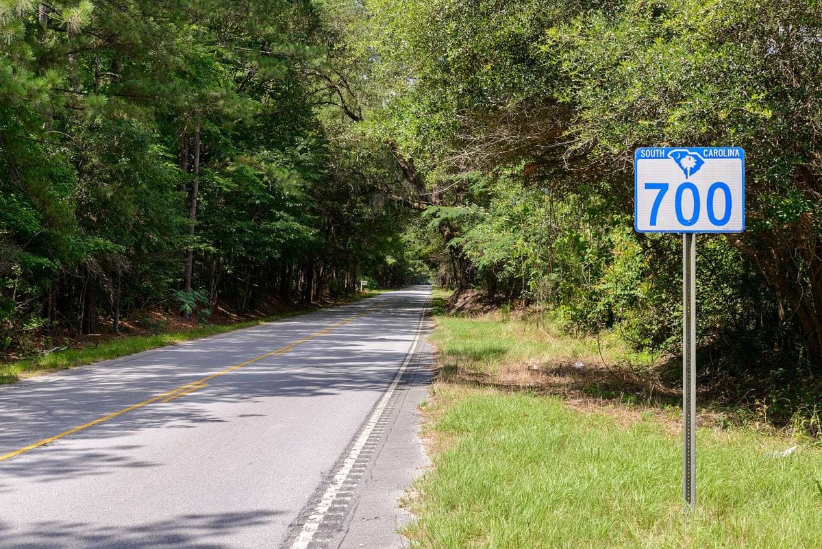 A two-lane road under live oaks on Wadmalaw Island
