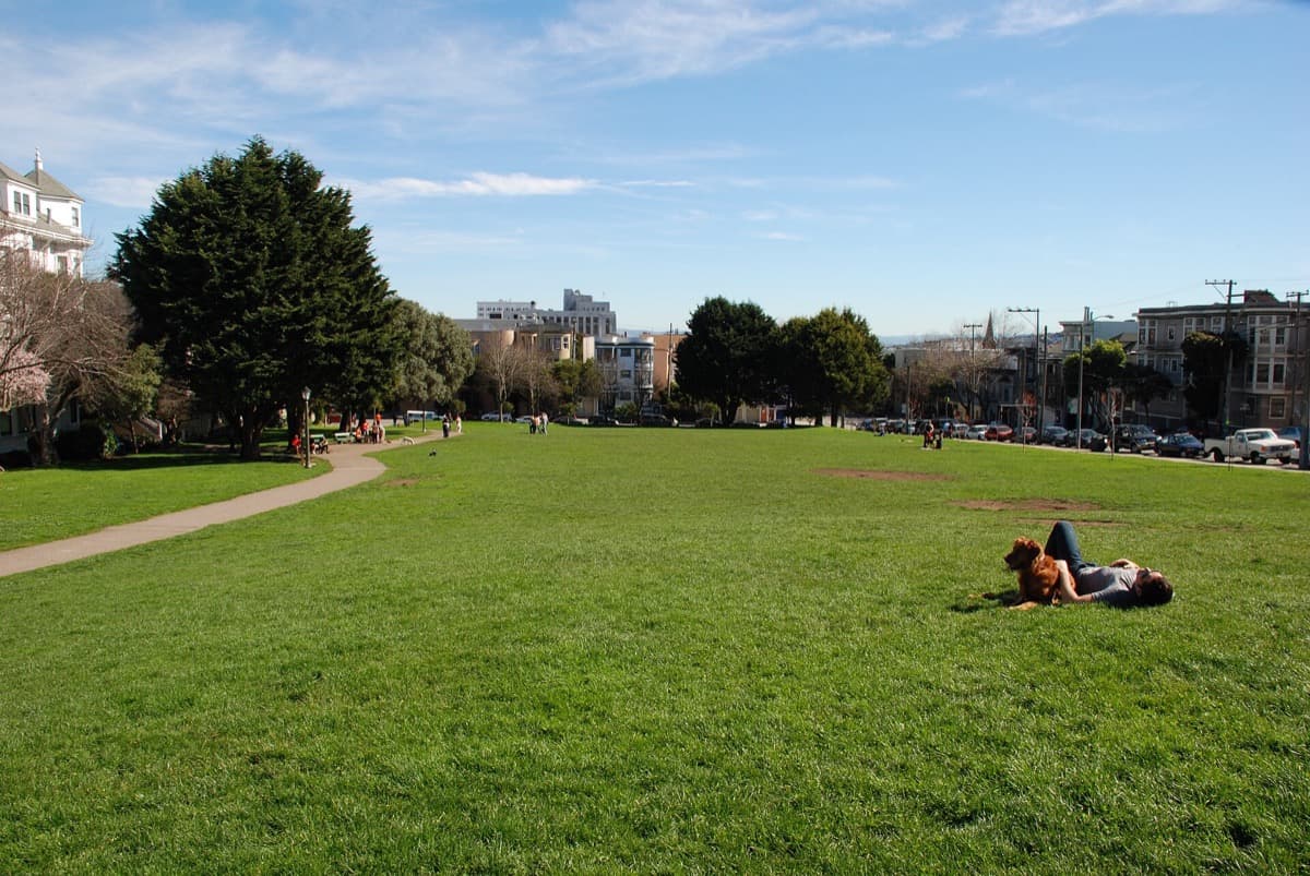 A grassy city park with houses along its edge