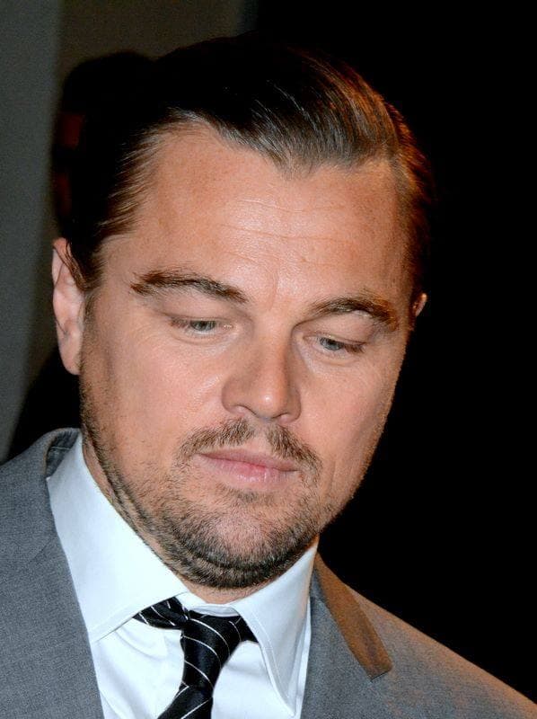 Leonardo DiCaprio in a grey suit at the Paris premiere of The Revenant