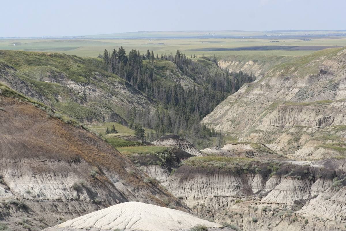 Eroded grey-and-buff badlands opening below the prairie