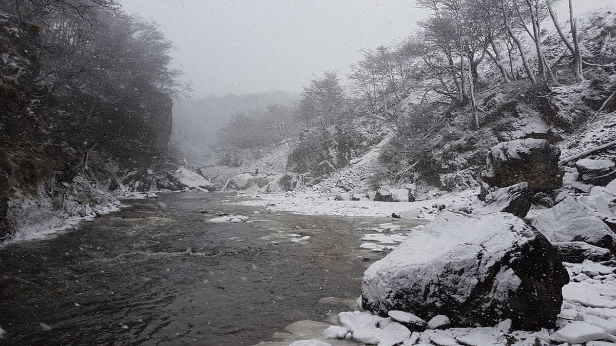 The Olivia River running between snowy banks and bare trees