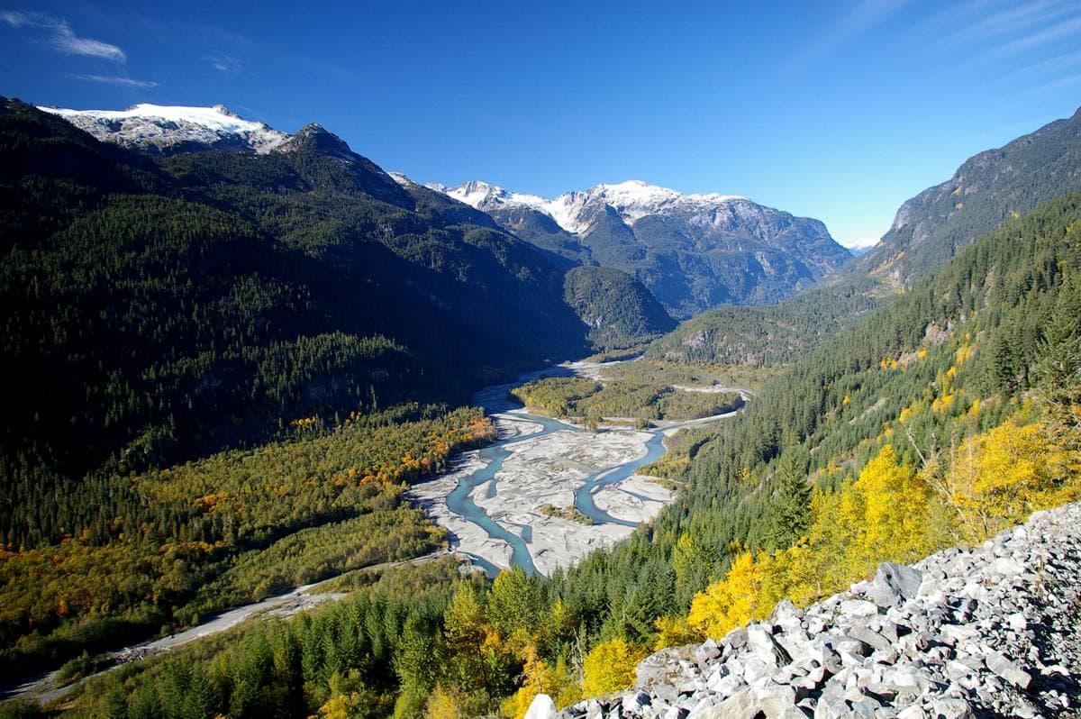 A braided river running down a forested mountain valley