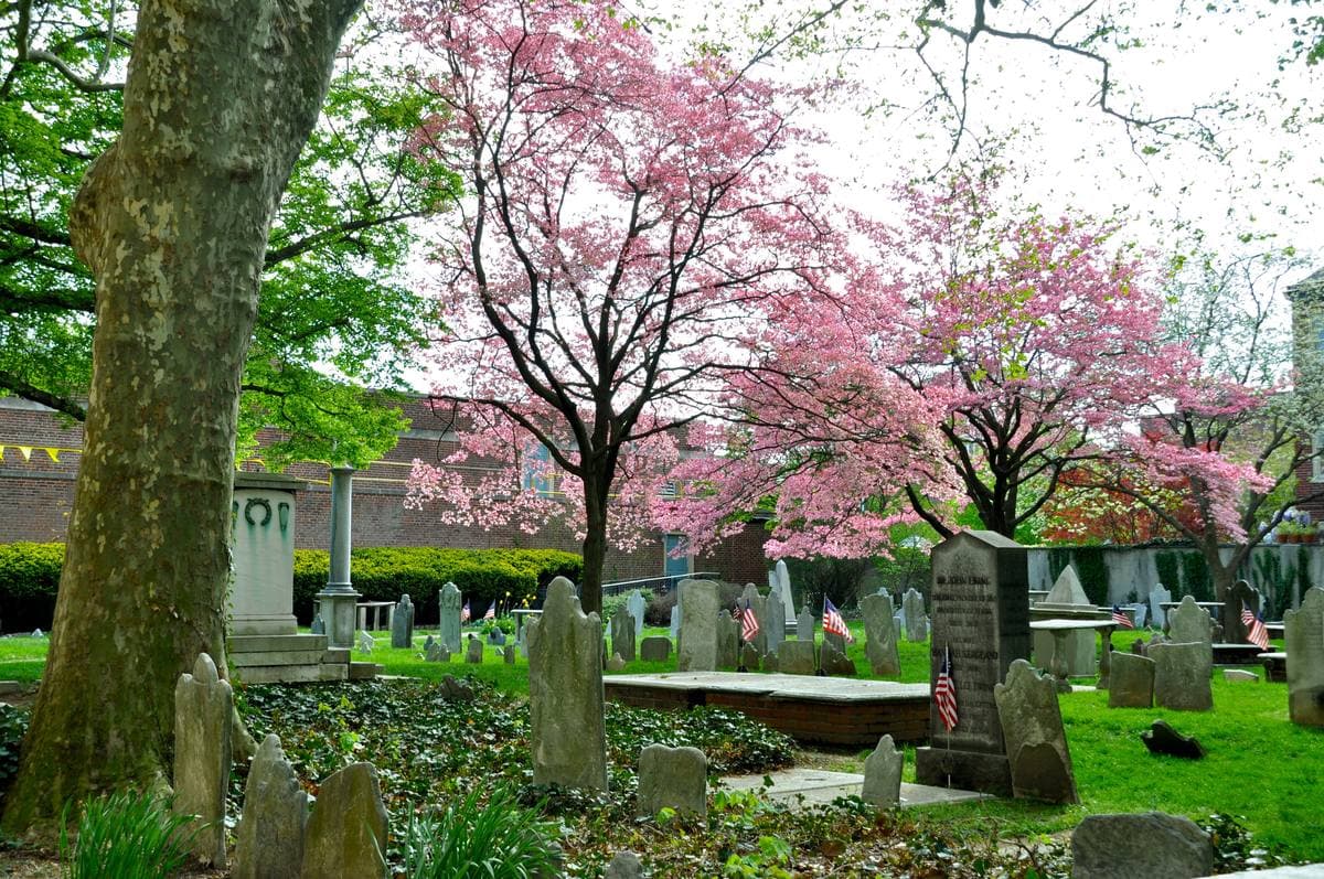 Old gravestones under trees and a pink flowering tree in a walled churchyard