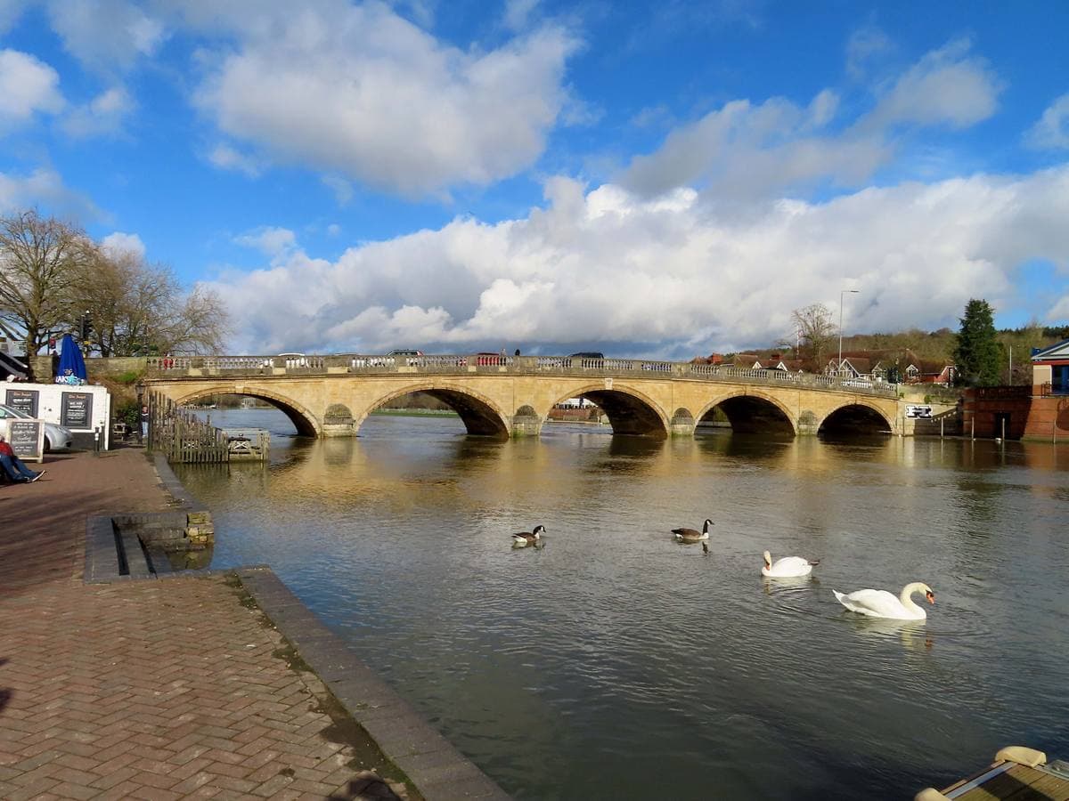 A five-arched stone bridge over a river with swans in the foreground