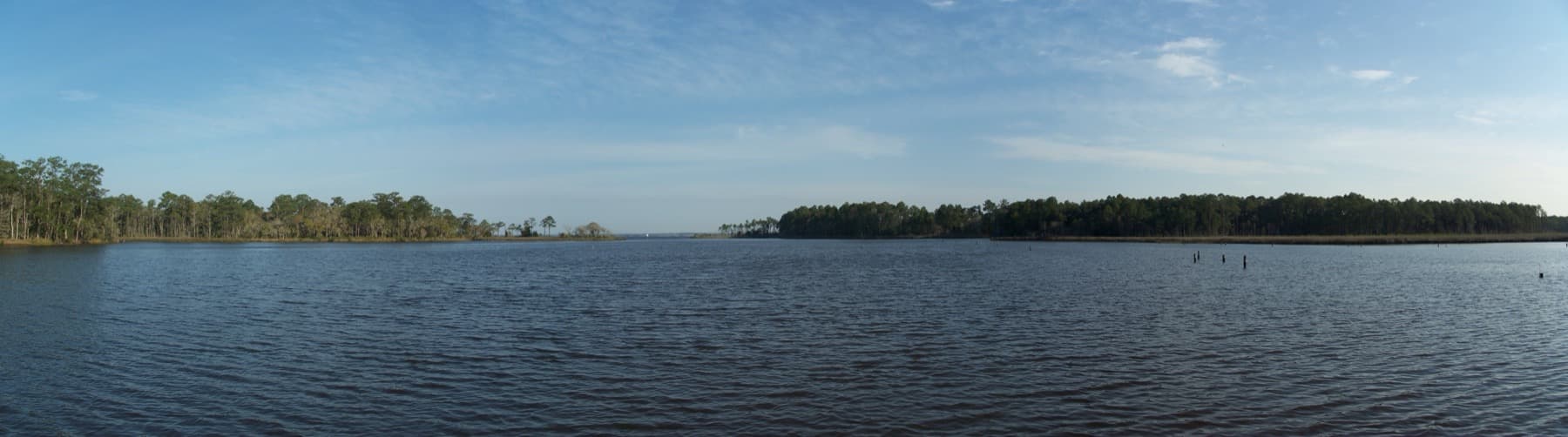 A wide calm bayou under a pale sky, with low wooded shores on both sides