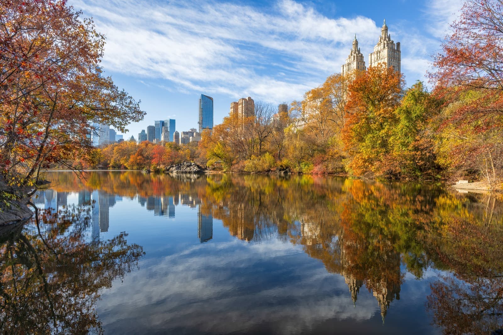 Orange and yellow trees reflected in still water, twin apartment towers beyond