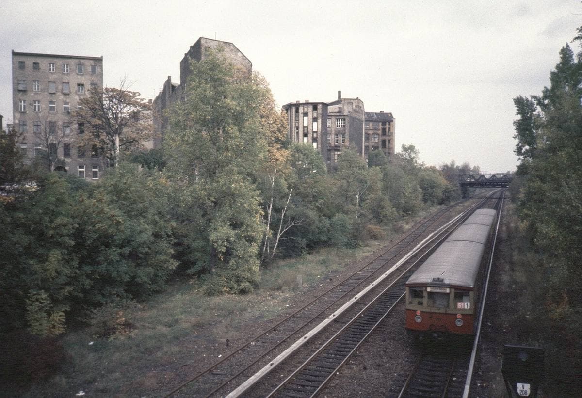An S-Bahn train in a green railway cutting between apartment blocks