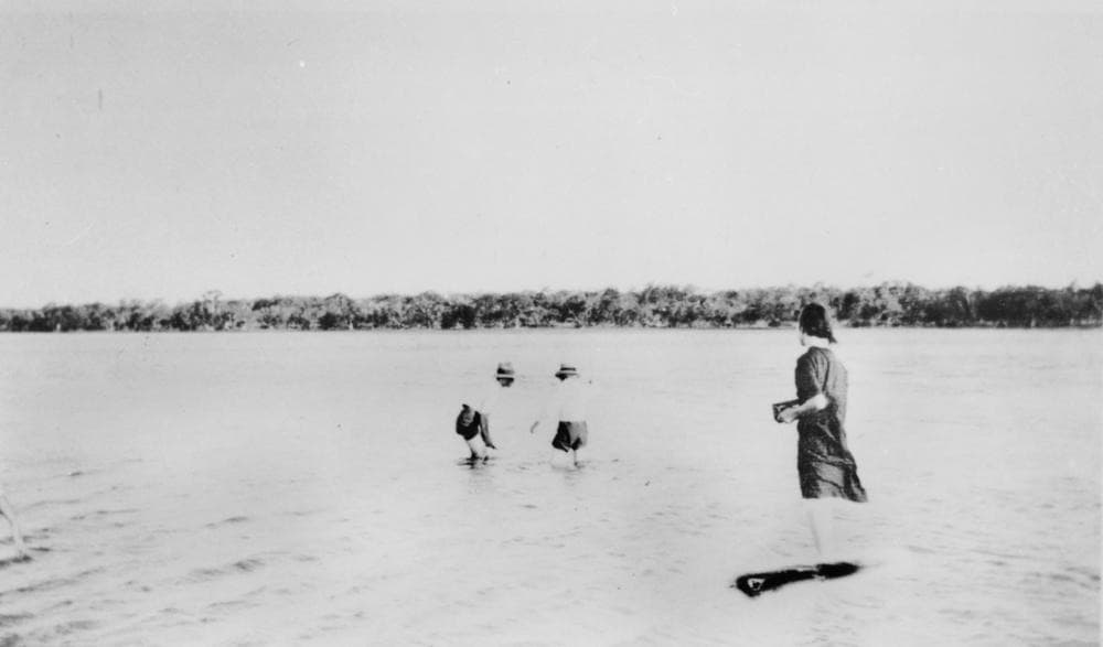 A woman and children paddling in wide shallow water, a line of trees on the far shore