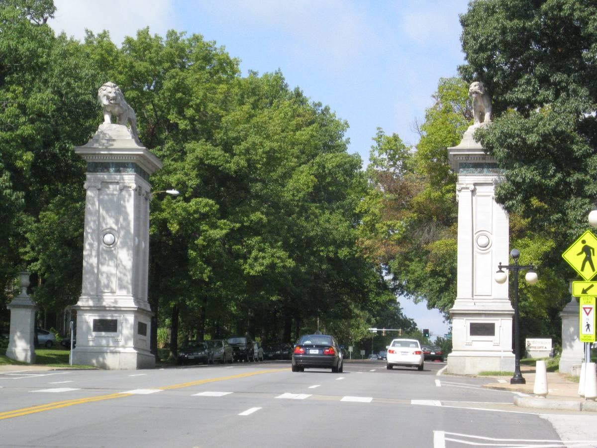 Shops and trees along Delmar Boulevard