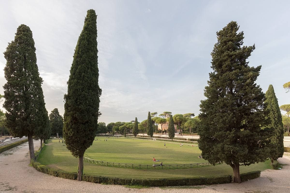 A long grass oval ringed by umbrella pines and stepped terraces in a park