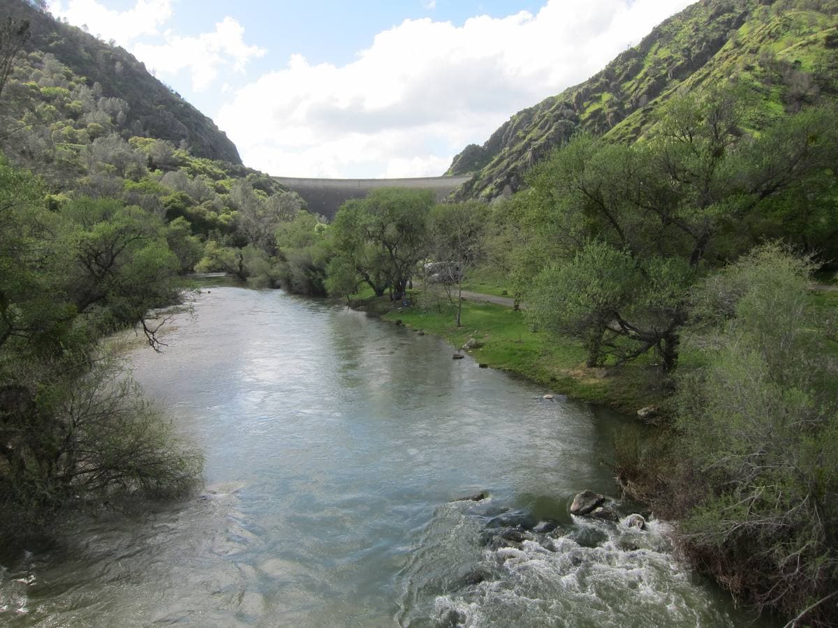 A green creek running fast between wooded banks