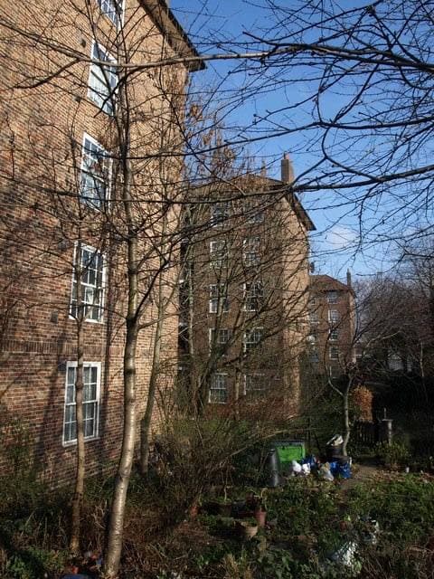 Brick council flats behind bare winter trees on the Crossfield Estate