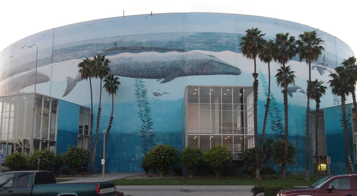 The round Long Beach Arena painted all round with grey whales in a blue sea
