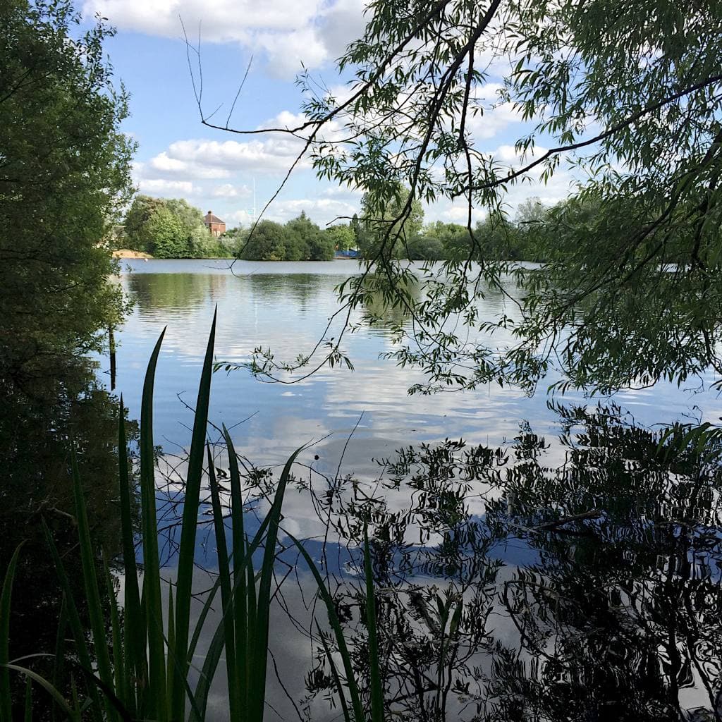 A small lake with trees in Shard End