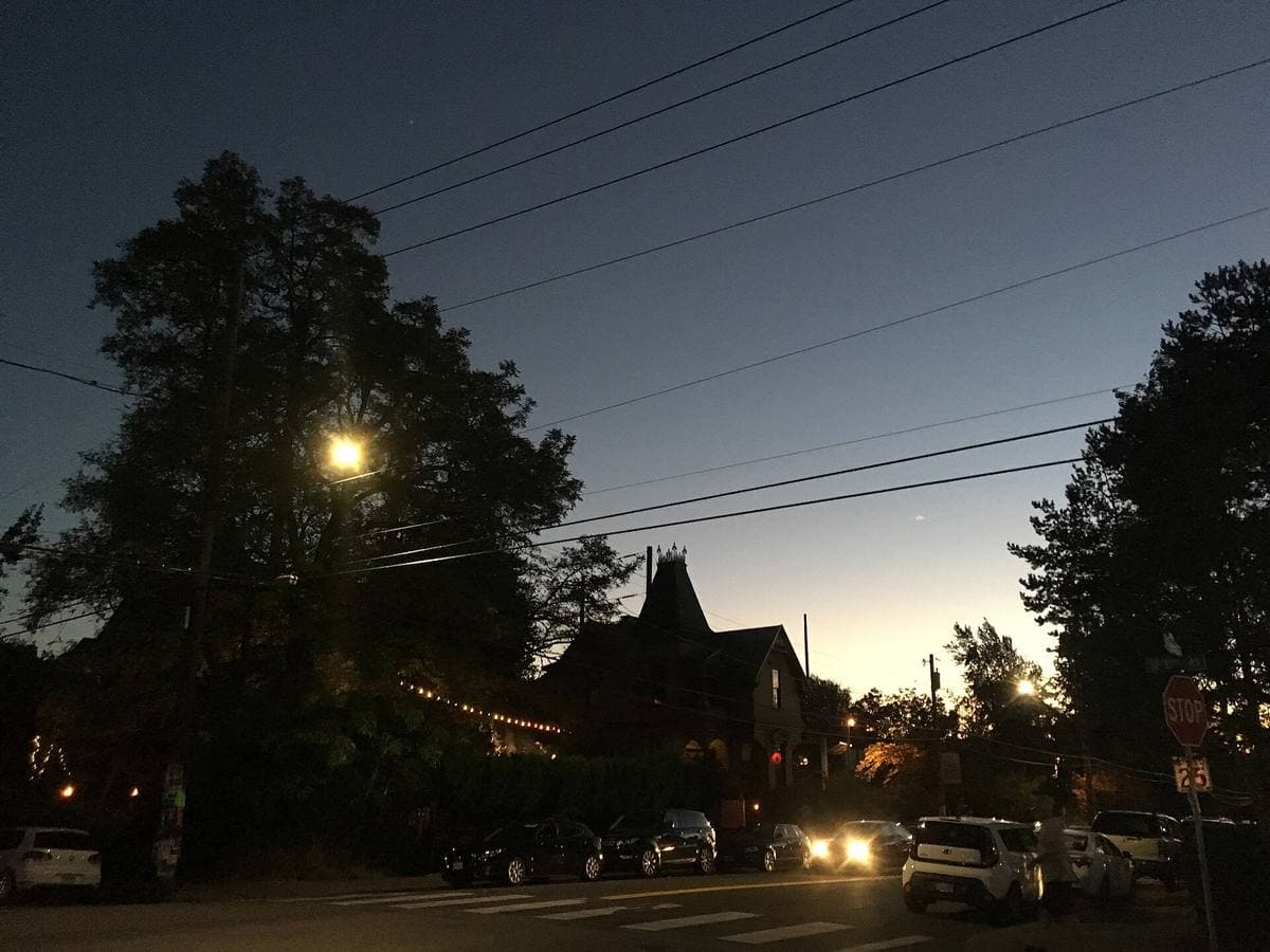 A residential street at dusk, trees and a street lamp against a fading sky