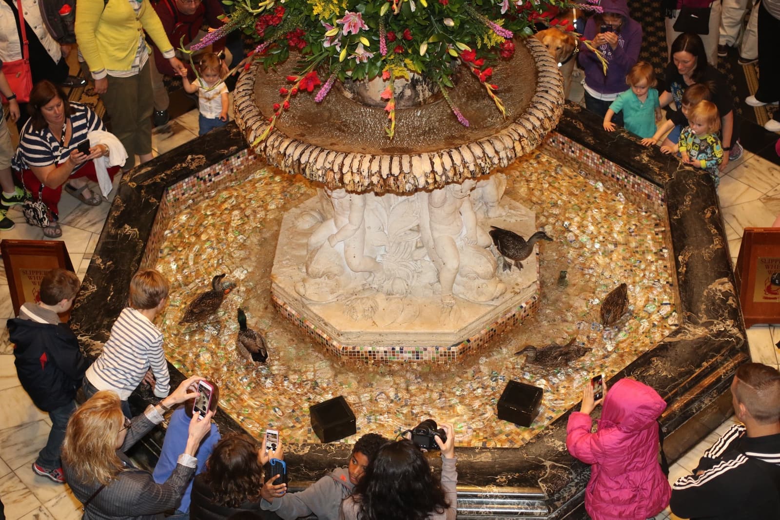 A grand hotel lobby with a fountain and ducks