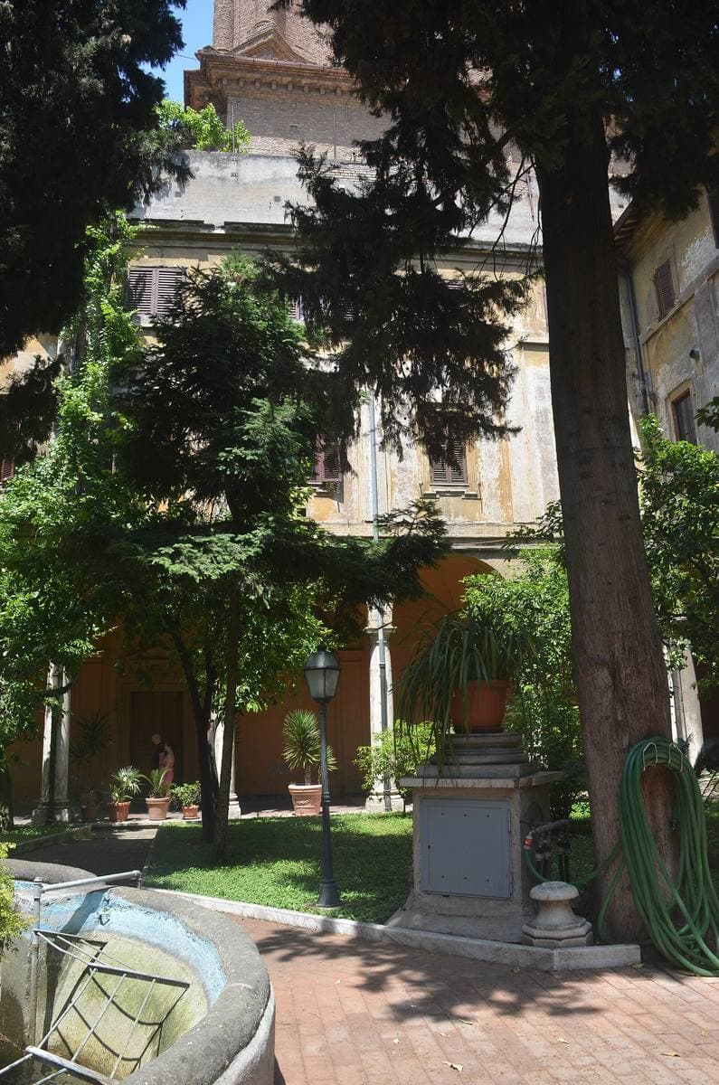 Trees and climbing plants in a courtyard below the conservatory's tall windows