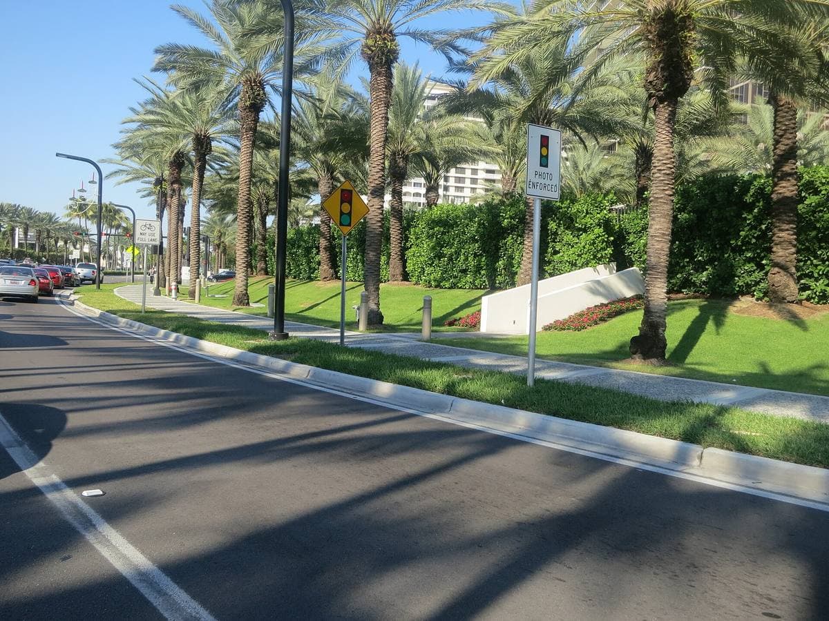 A palm-lined road through Golden Beach under a blue sky