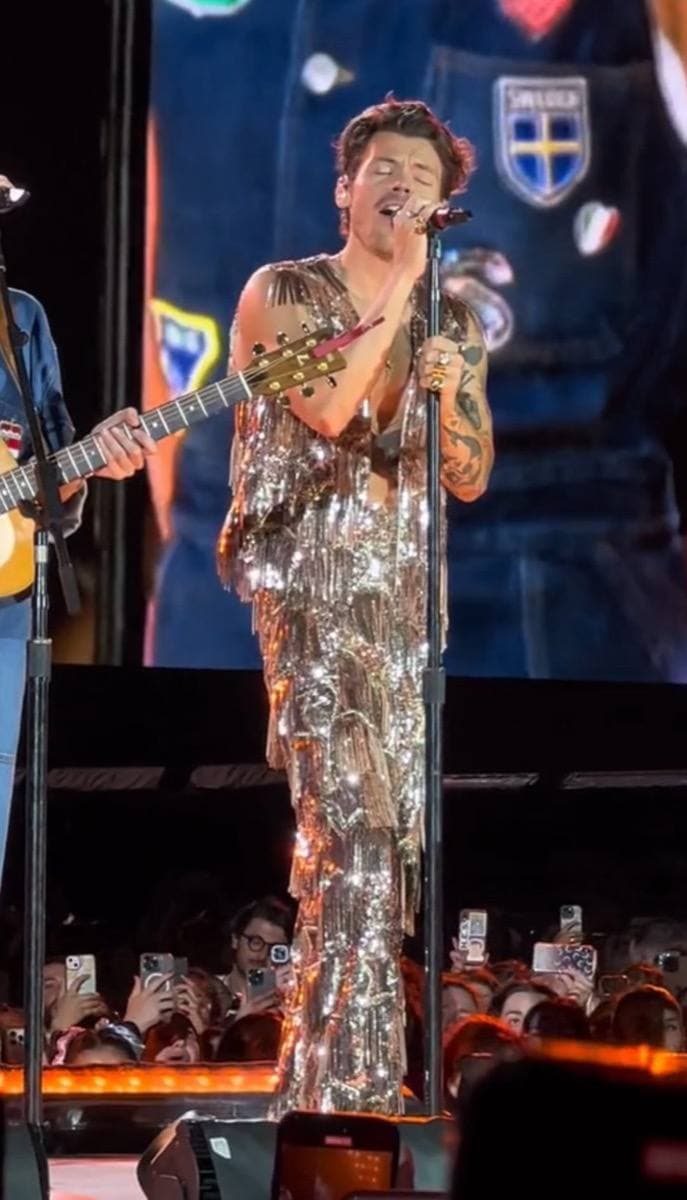 Harry Styles on stage at Campovolo in July 2023
