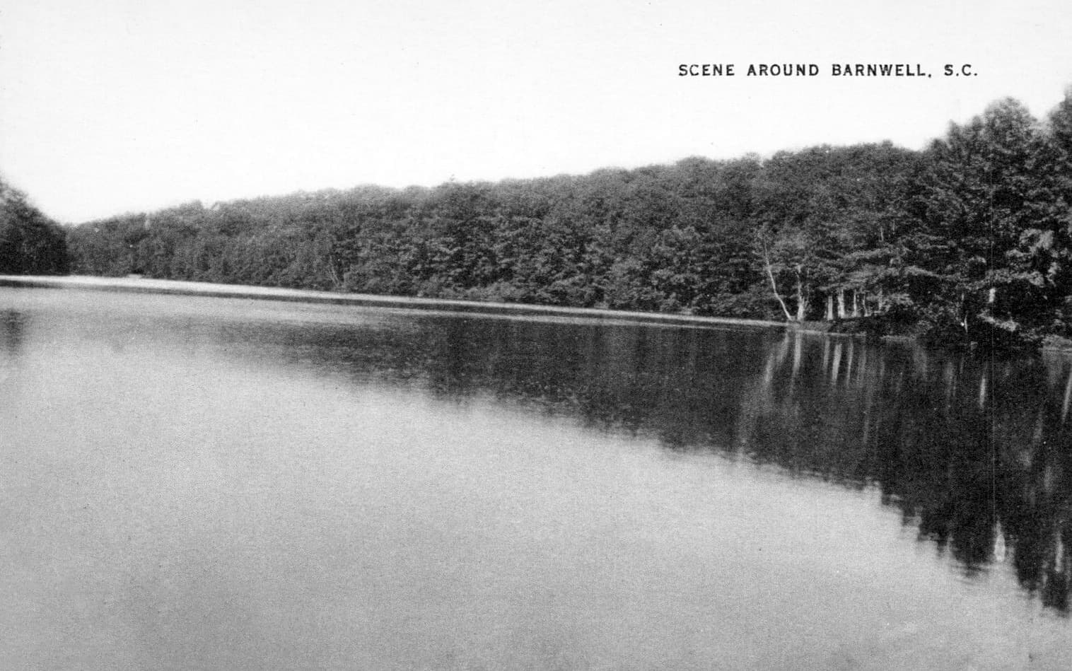 A black-and-white postcard of a still lake edged by dense trees
