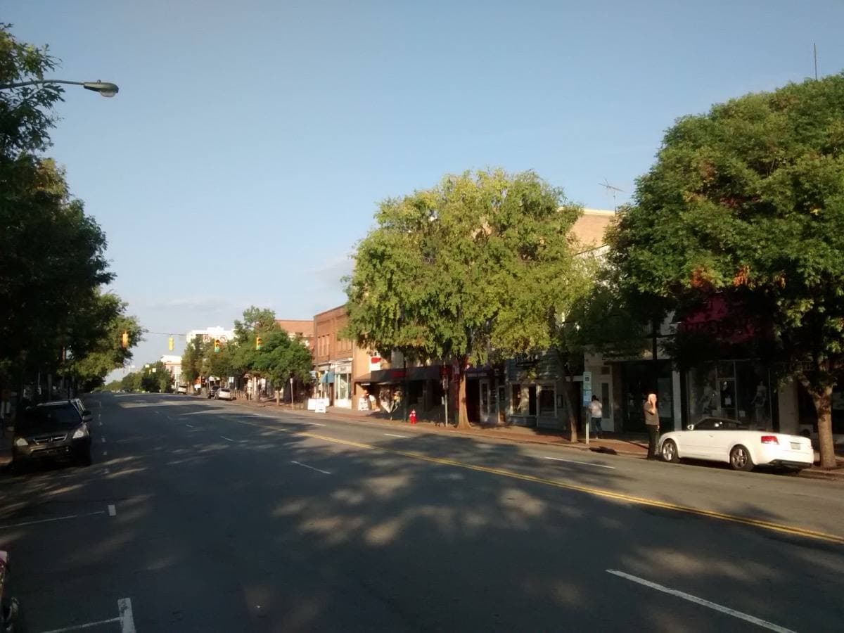 Shops and trees along Franklin Street in Chapel Hill on a summer day