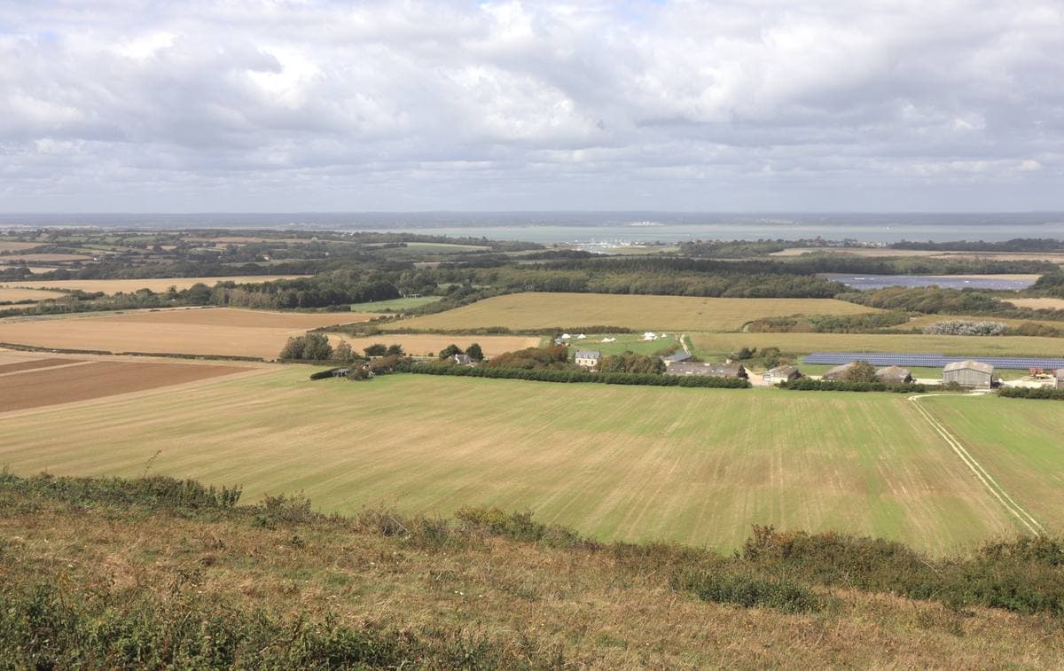 Green farmland rising to a long chalk down under a grey sky
