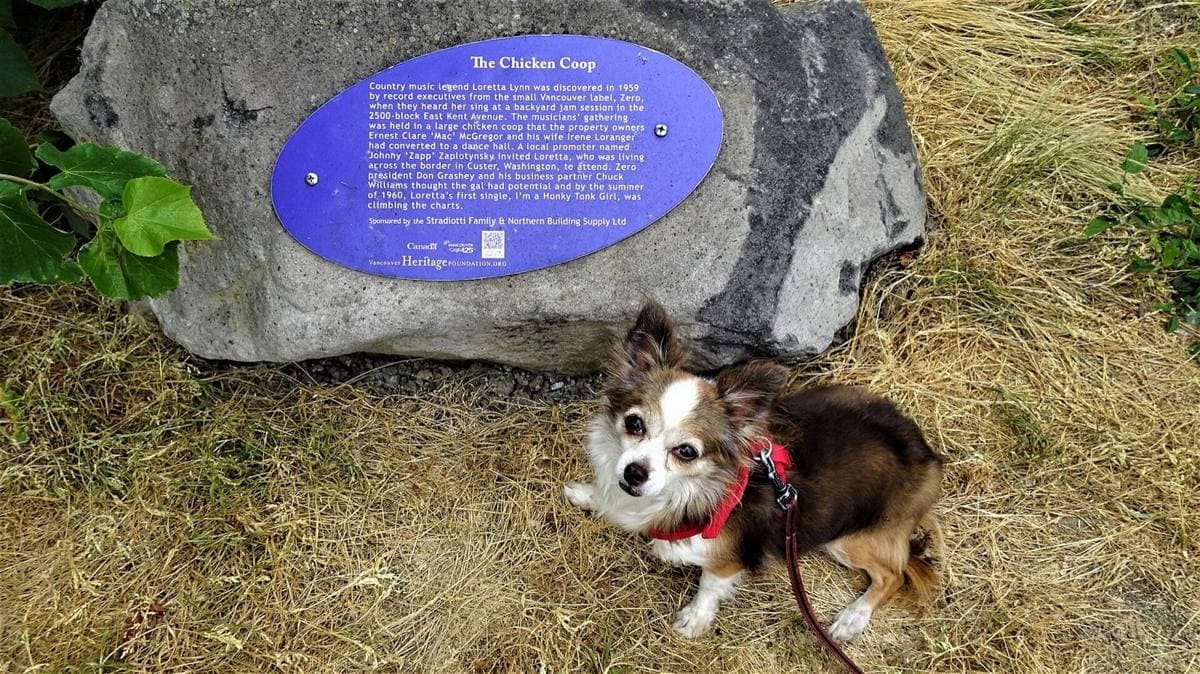 A plaque on a post beside a riverside path