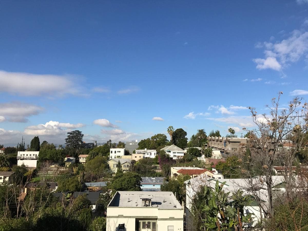 Rooftops of a hillside neighbourhood among palms and trees under a blue sky