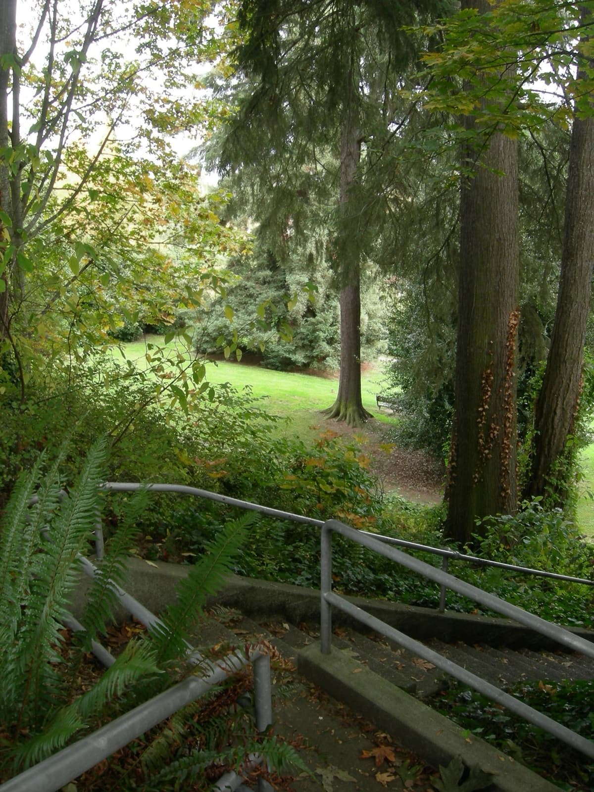 A small green park sloping down to Lake Washington