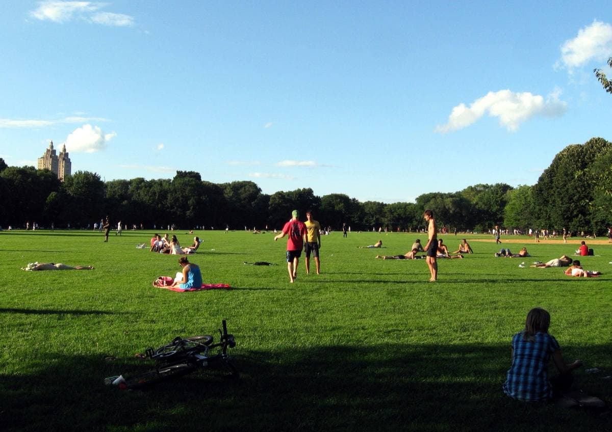 A wide green lawn with people sitting in the sun and trees beyond
