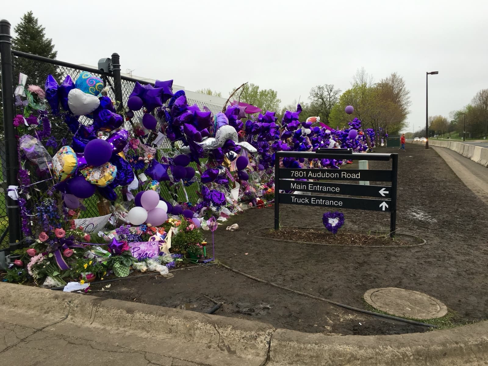 Purple balloons and flowers on the fence by the Paisley Park entrance sign