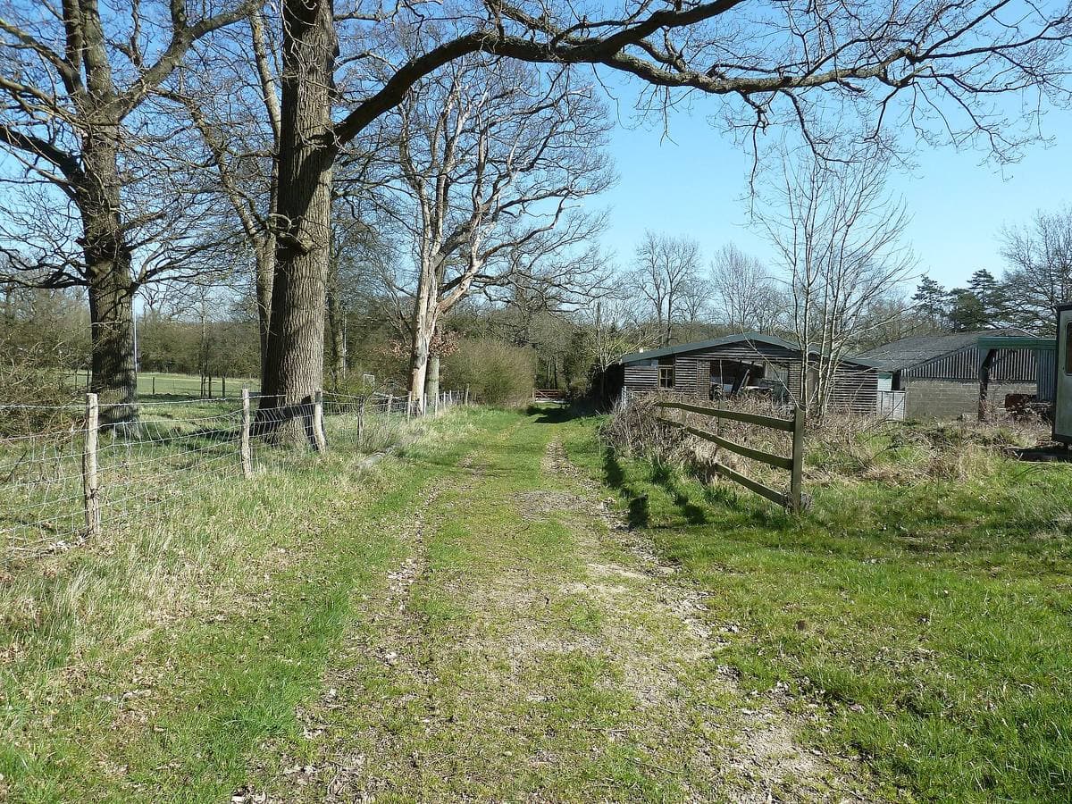 A country footpath between fields and hedges on the Surrey–Sussex border