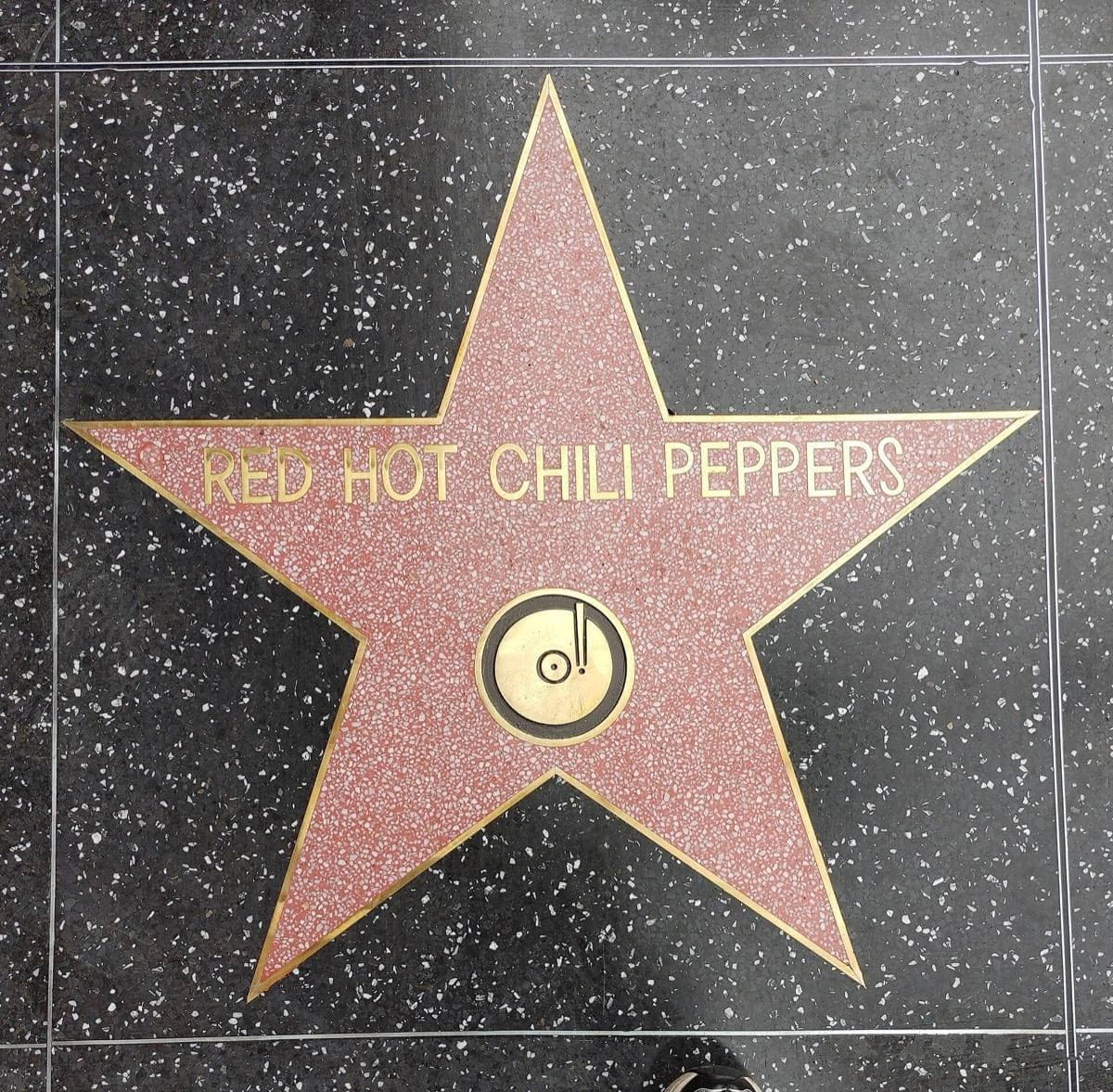 The new Walk of Fame star on the pavement on its ceremony day