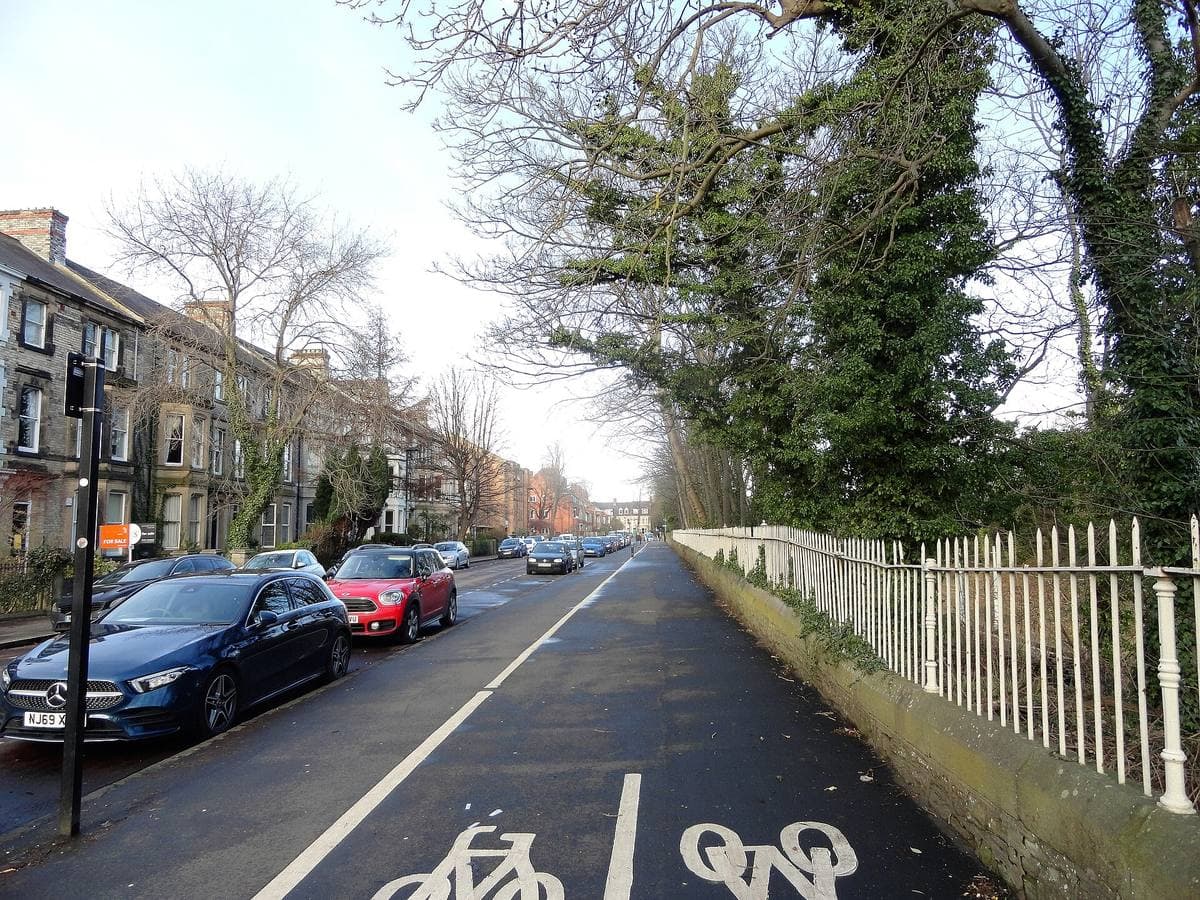 A residential street with parked cars, trees and a cycle lane