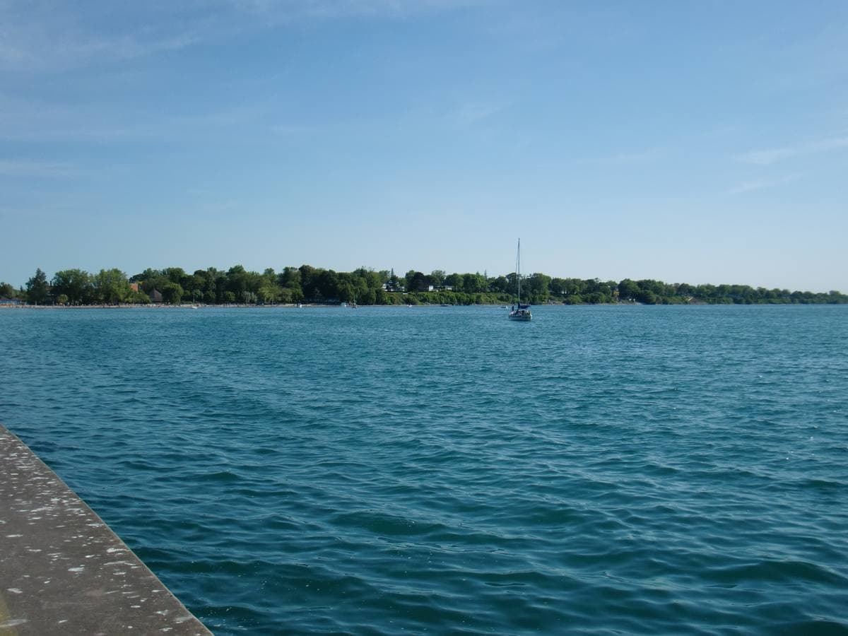 A lakeshore park with trees and a beach seen from a pier