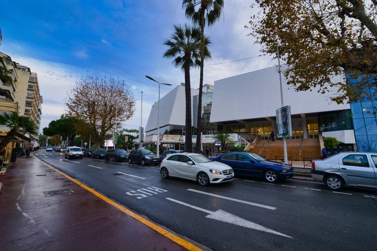 A seafront boulevard with palm trees, the white Palais des Festivals beyond
