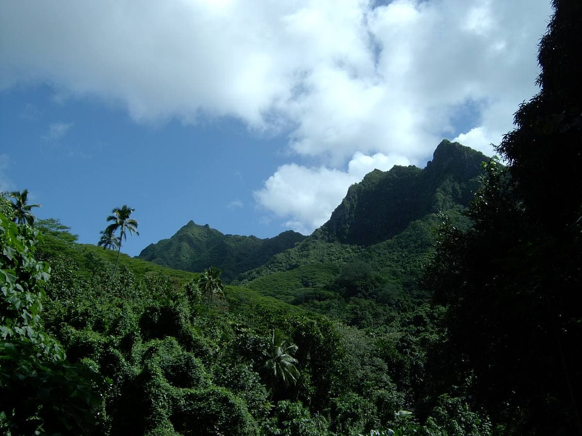 Green jungle slopes rising to jagged volcanic peaks under a blue sky