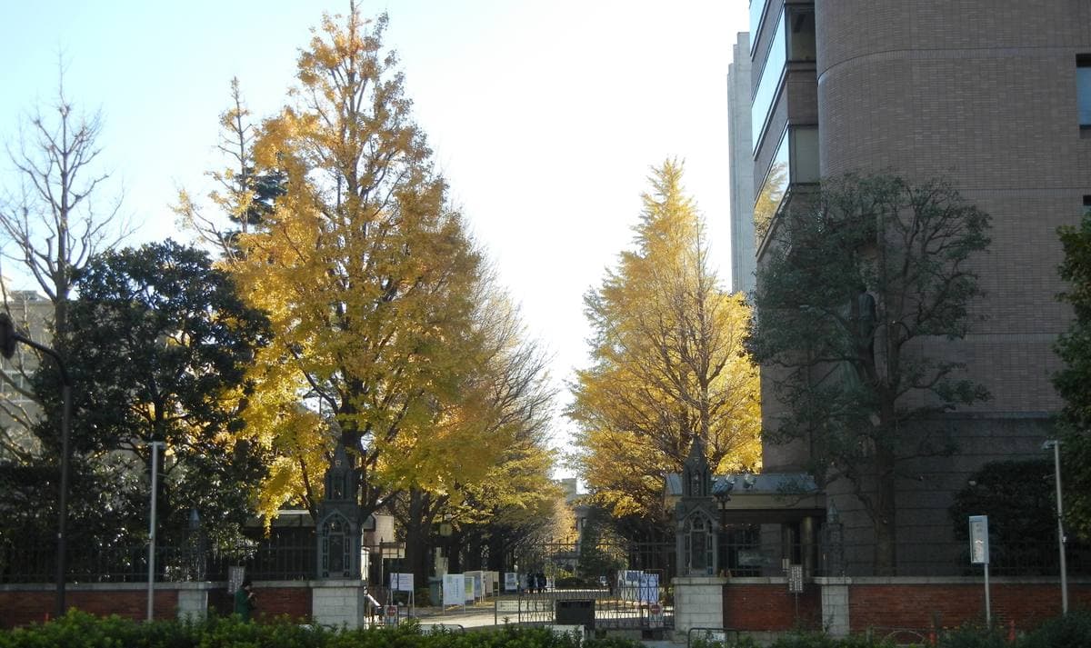 The main gate of Aoyama Gakuin University with trees and a campus building behind
