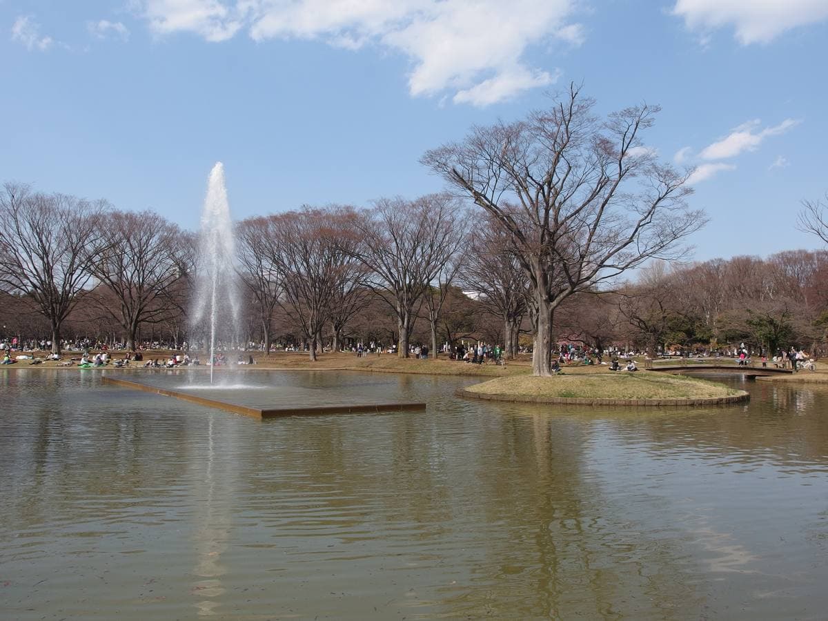 Lawns and trees in Yoyogi Park with people walking
