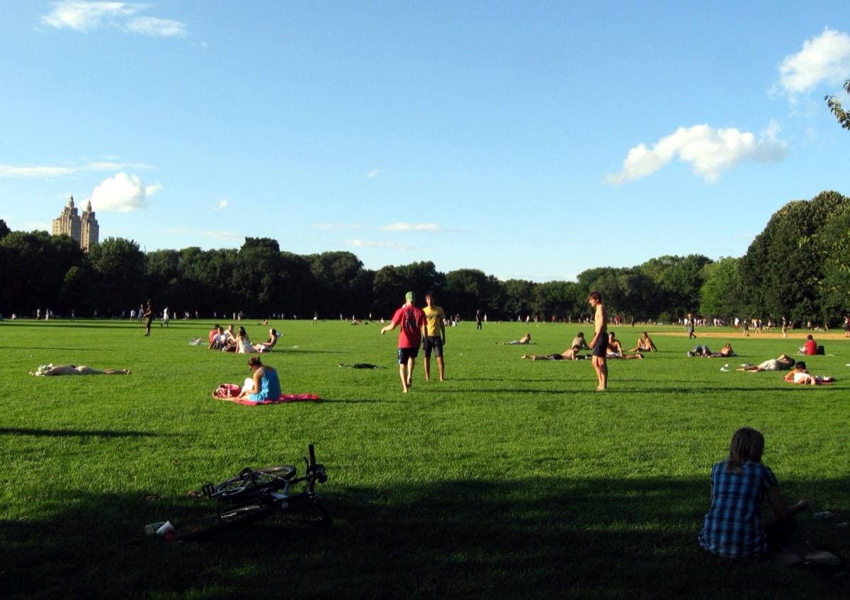 A wide green lawn with people sitting in the sun and trees beyond
